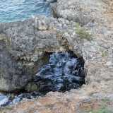 E a sorprenderci pochi metri pi� avanti c�� un altro tesoro: alcuni massicci archi di pietra che si immergono nell�acqua. Prendono l�incantevole nome di �grotte delle Sirene�